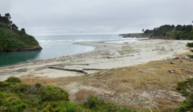 Surfer Hospitalized After Yet Another Northern California Shark Attack