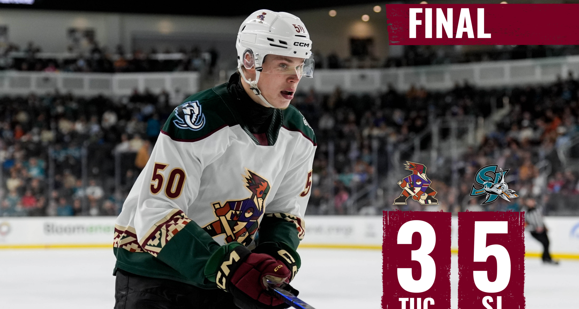 Tucson Roadrunners Hockey