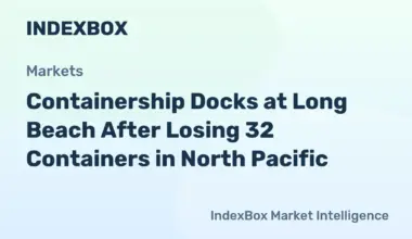 Container Loss Incident: Ship Arrives at Port for Inspection After Storm Damage - News and Statistics