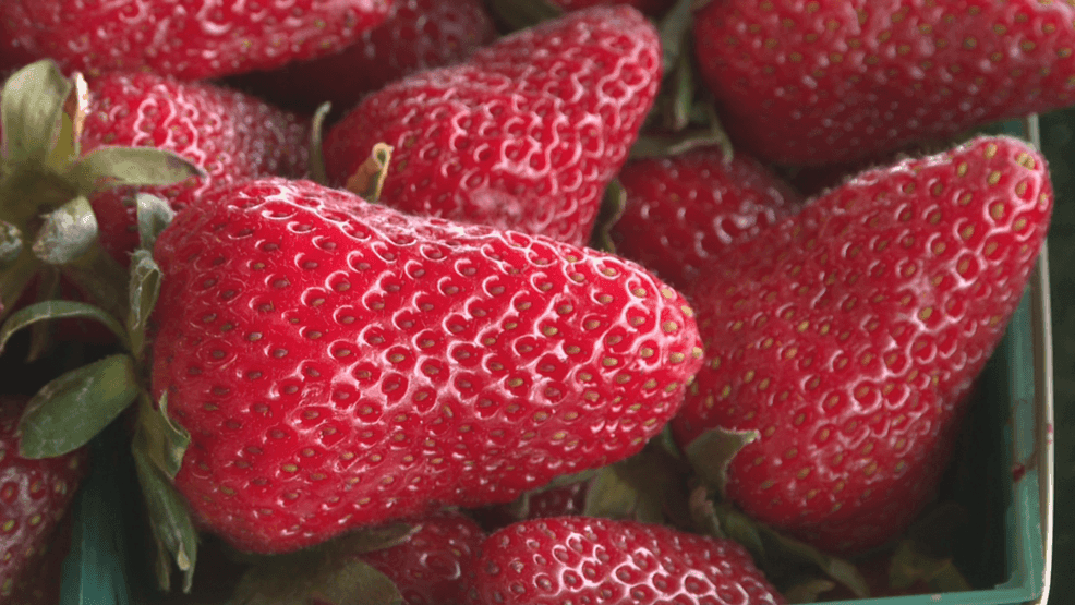 Sunshine's Farm owner Kevin Yang said the farm has been operating for 30 years and that the business can be unpredictable year to year (PHOTOJOURNALIST JOHN DWELLE).