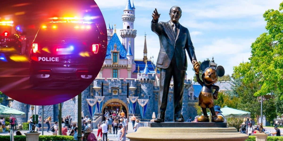 A statue of Walt Disney holding Mickey Mouse's hand stands in front of Sleeping Beauty Castle at Disneyland as a Disney security incident unfolds. Disneyland Main Street tree incident