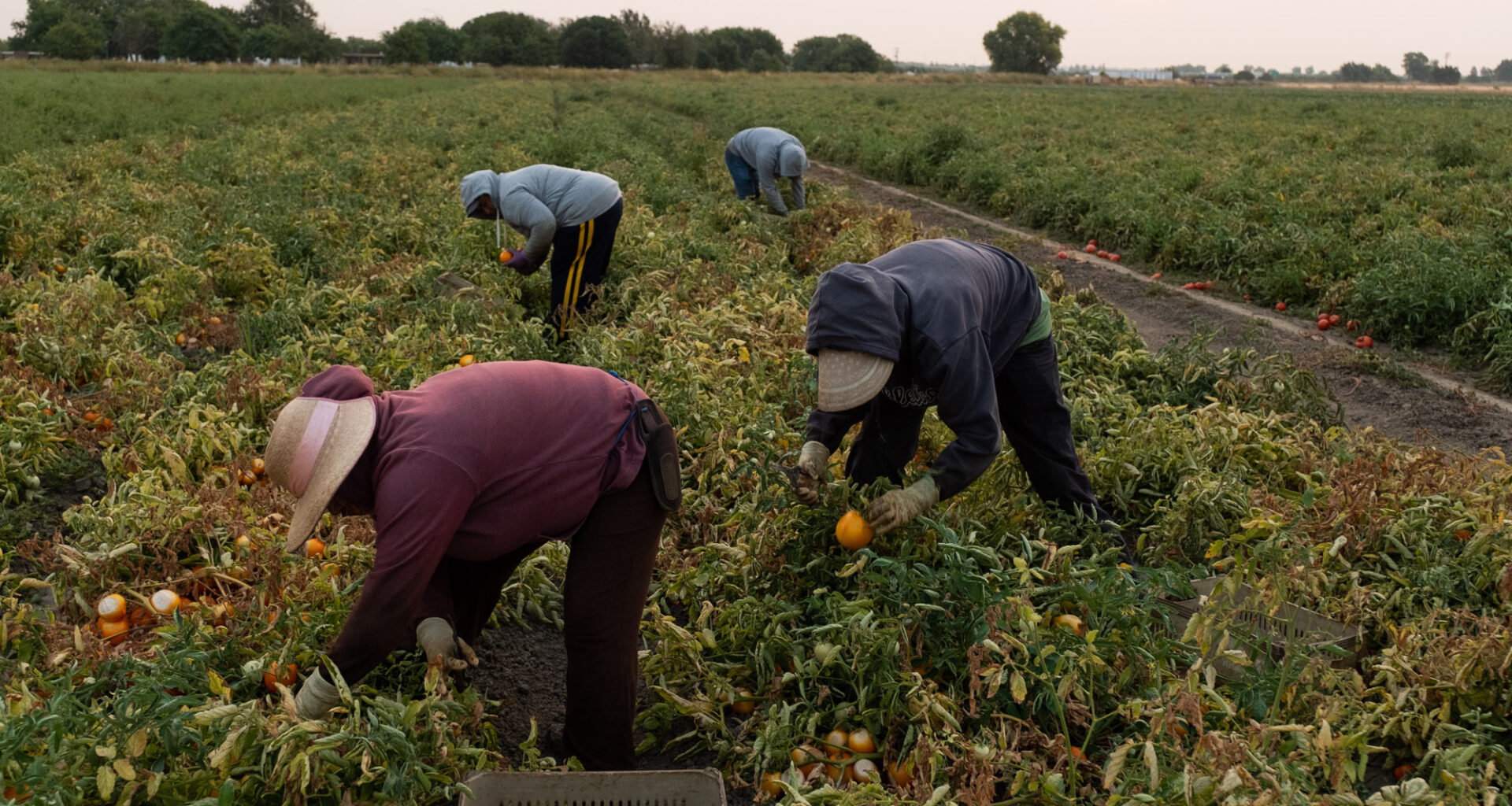 As temperatures rise, is California doing enough to keep its farmworkers safe?