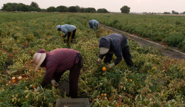 As temperatures rise, is California doing enough to keep its farmworkers safe?