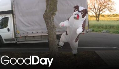 Cody is having inflatable fun at a local park! | Cody's Caravan