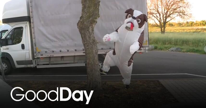 Cody is having inflatable fun at a local park! | Cody's Caravan