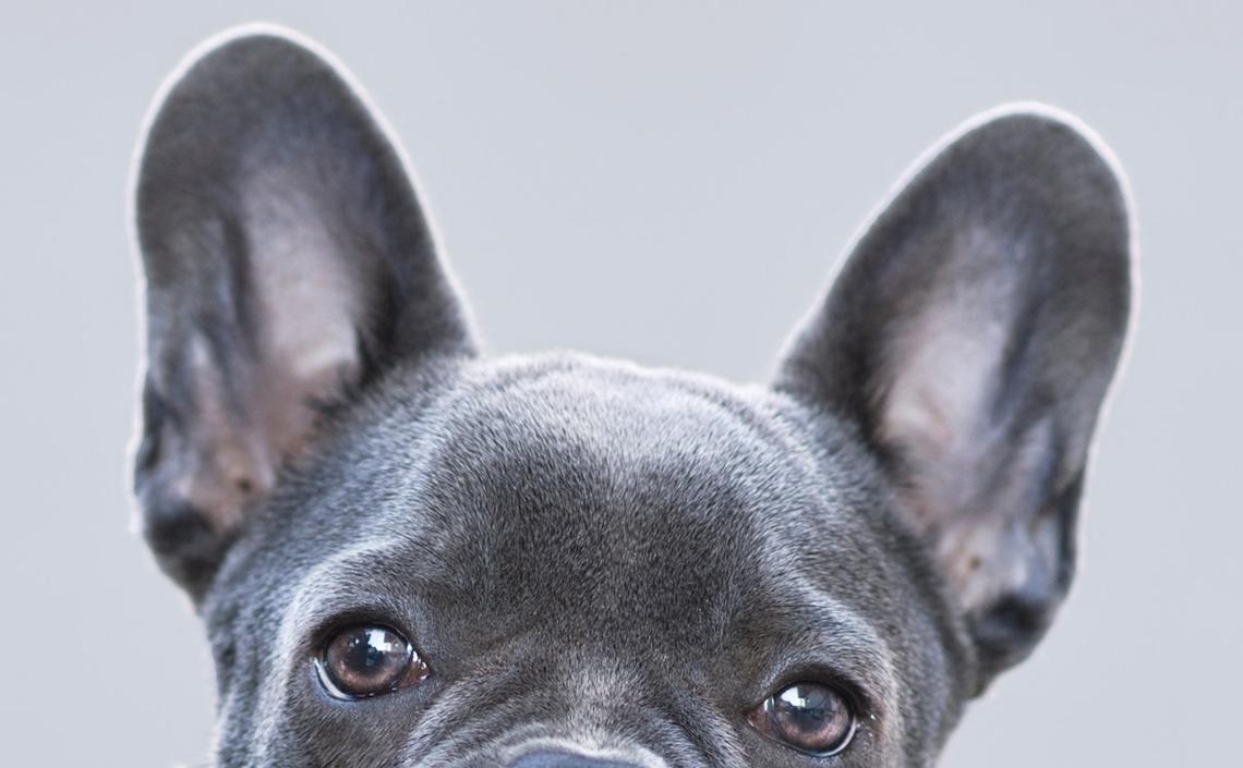 Yahoo lifestyle home