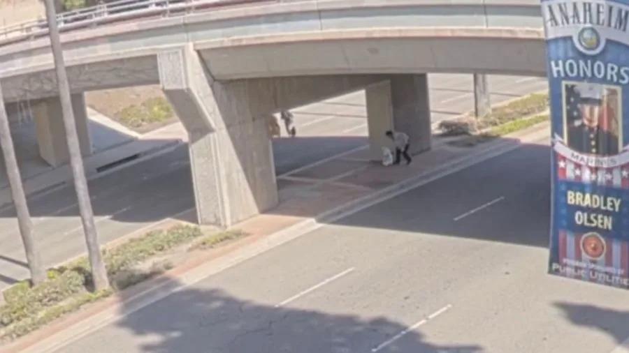 Anaheim attempted sexual assault