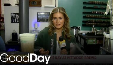 Celebrate St. Patrick's Day at Pittador Brews!