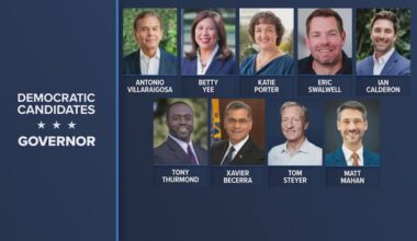 California Democratic chair urges candidates to consolidate in governor’s race