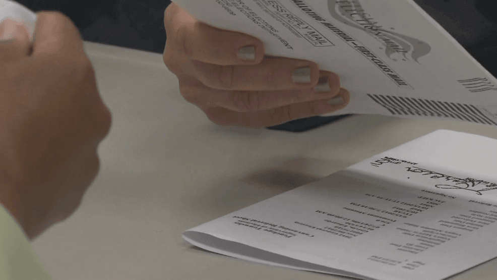 For mail-in ballots, voters would be required to write the last four digits of a government ID on the mail ballot envelope.  