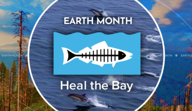 Help Heal the Bay by cleaning up the beach and waterways