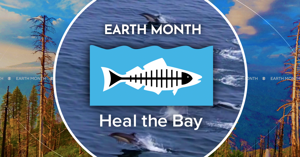 Help Heal the Bay by cleaning up the beach and waterways
