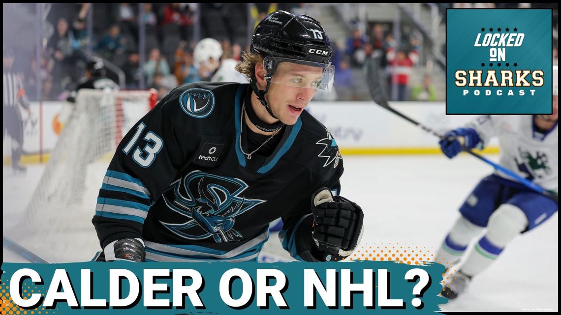 BARRACUDA BOOST: San Jose Sharks’ Top Prospects SET for AHL Playoff Impact or NHL Auditions?