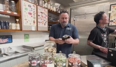 Mushrooms getting more attention from Bay Area food and wellness scenes