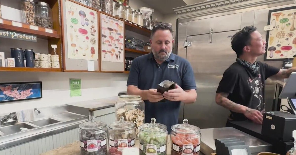 Mushrooms getting more attention from Bay Area food and wellness scenes