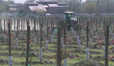 California farmers concerned over fertilizer shortage as Iran war disrupts shipments