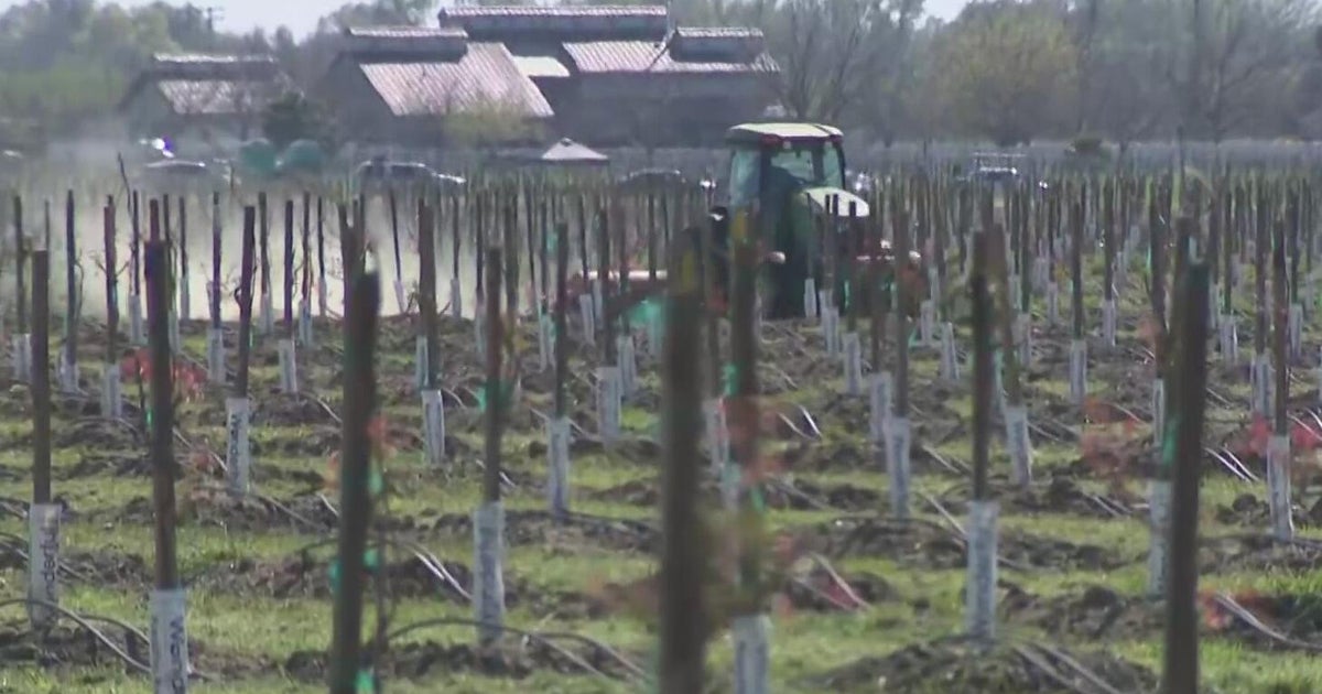 California farmers concerned over fertilizer shortage as Iran war disrupts shipments