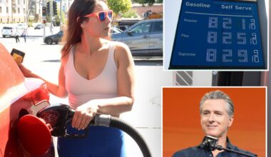 GOP senator pitches plan to slash California's sky-high gas taxes