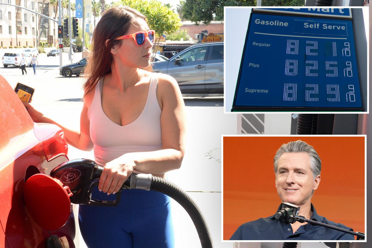 GOP senator pitches plan to slash California's sky-high gas taxes