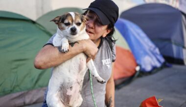 A pet-friendly homeless shelter pilot reduced the rate of homelessness among the people it helped in California