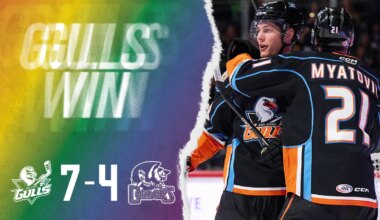 Gulls Dominate Condors in 7-4 Win