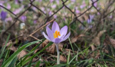 A view from DC: Youth privacy in California rises again, kind of