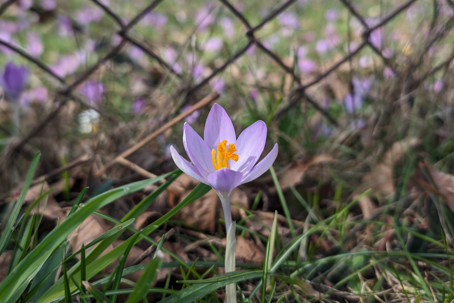 A view from DC: Youth privacy in California rises again, kind of