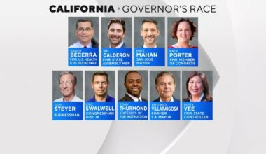 California Democrats clash as party chair urges weaker governor candidates to drop out