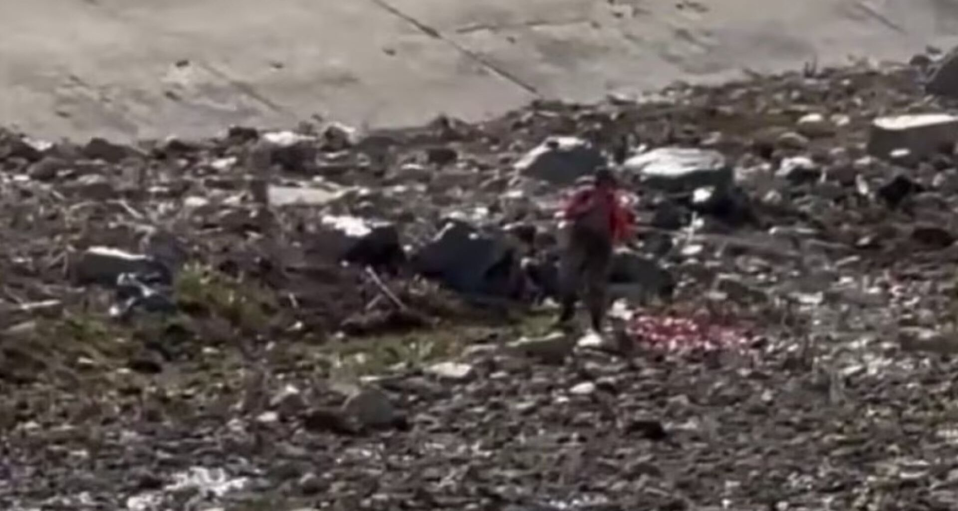 Herbicide use in Orange County waterways raising safety, ecological concerns