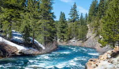 Search underway for man who went missing while swimming in Truckee River