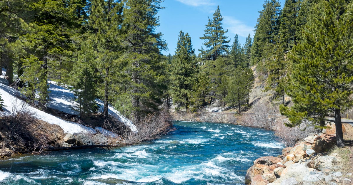 Search underway for man who went missing while swimming in Truckee River