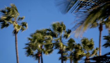 Southern California's strong, gusty Santa Ana winds expected to last into Sunday