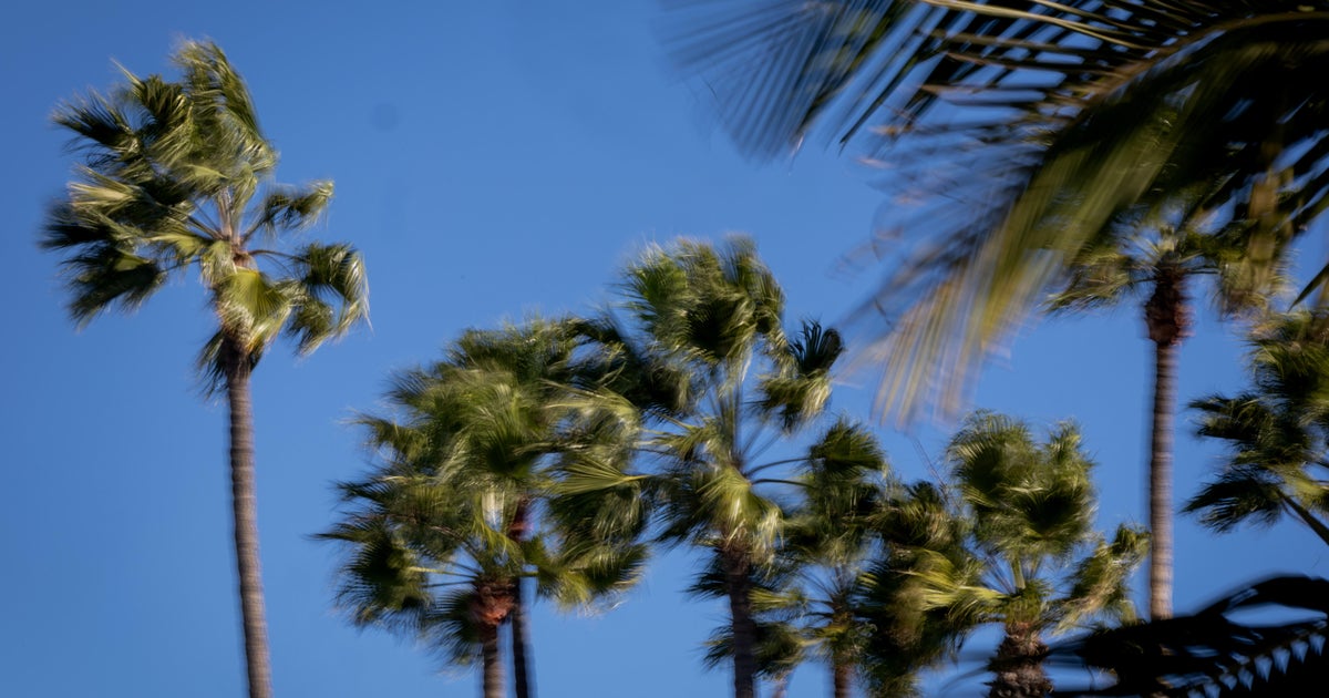 Southern California's strong, gusty Santa Ana winds expected to last into Sunday