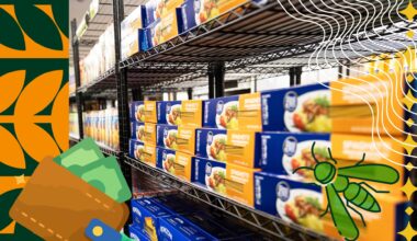 Give Sac State Day unites campus community to raise funds to student programs – The State Hornet