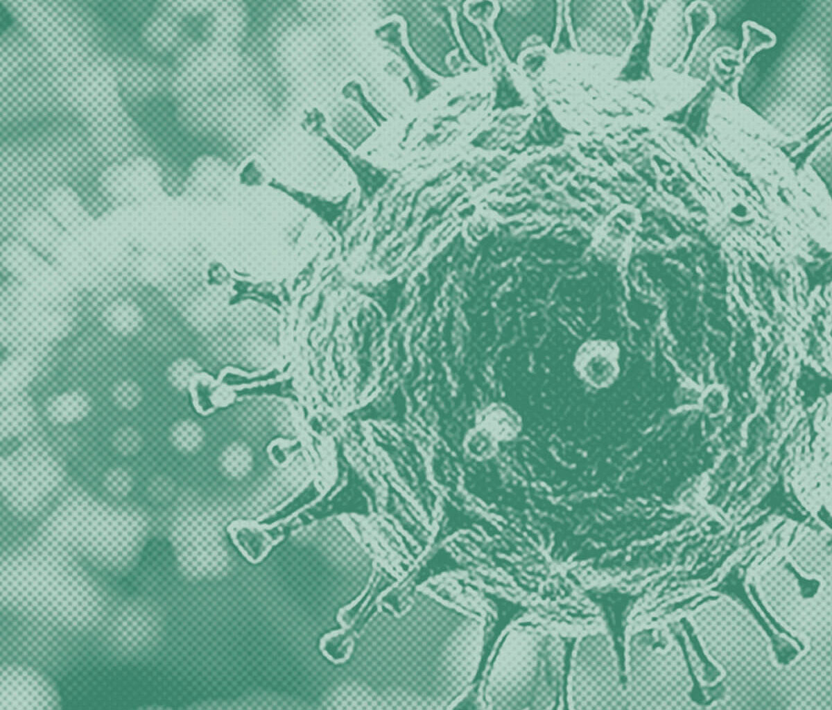 Human Metapneumovirus Cases Rise in California