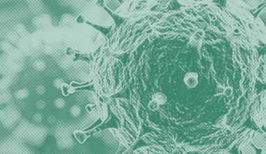 Human Metapneumovirus Cases Rise in California