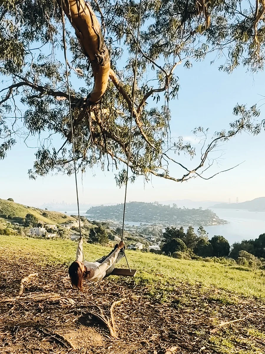 Hippie Tree Tiburon California