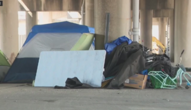 Major cleanup operation planned at encampment in Sepulveda Basin, Los Angeles officials say
