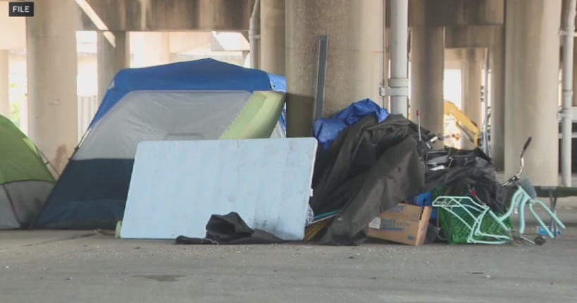 Major cleanup operation planned at encampment in Sepulveda Basin, Los Angeles officials say