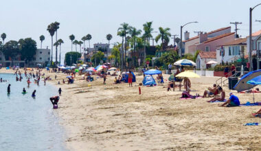 Beach scene at the bay with dozens of people in swimsuits next to a street lined with palm trees.