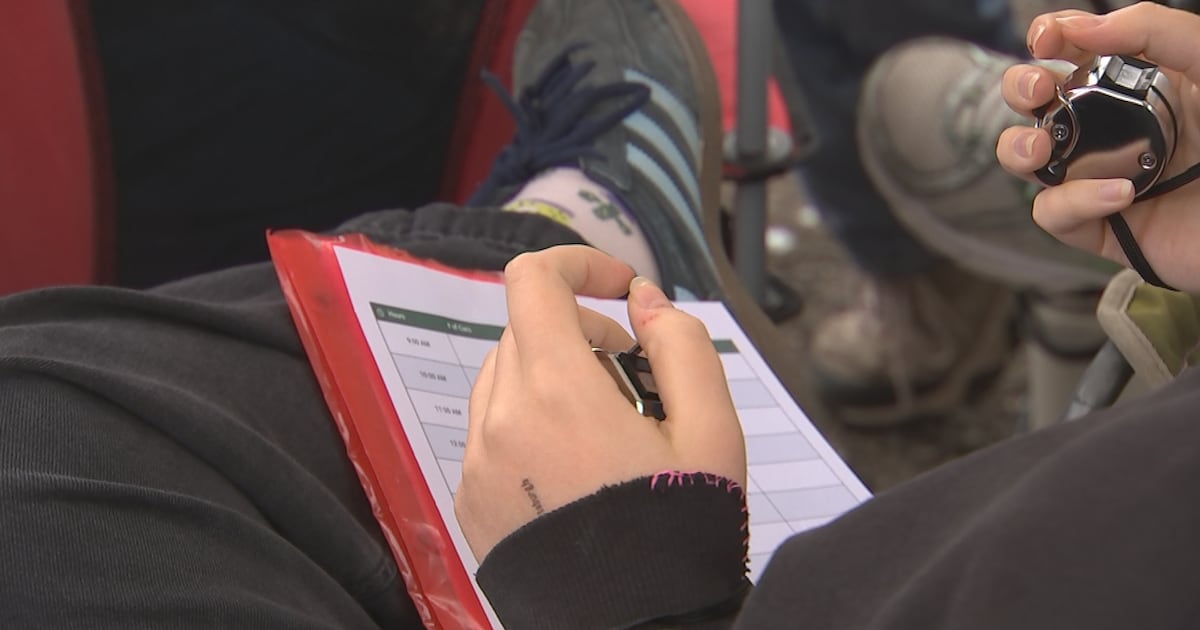 Pitt students track traffic on busy Oakland roadway in push for increased safety measures – WPXI