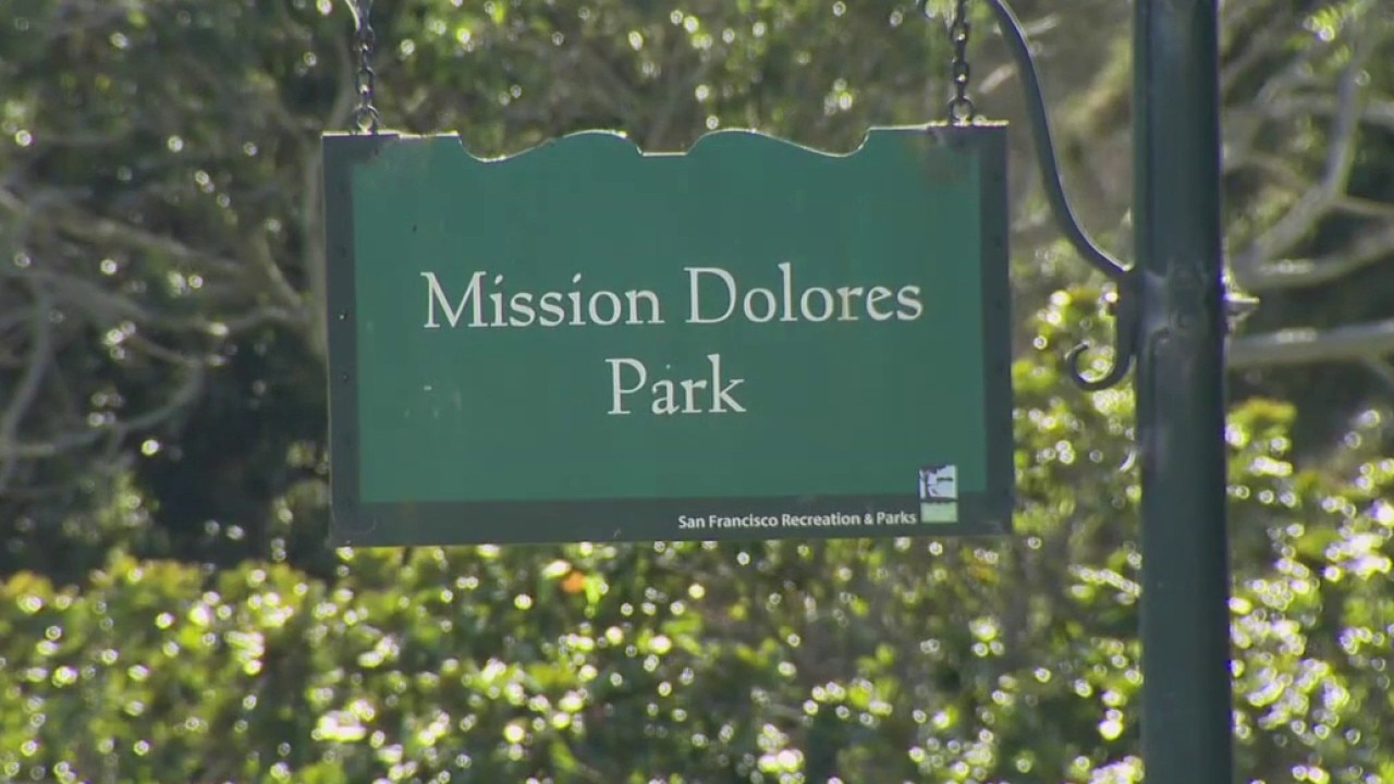 8 arrested in Dolores Park stabbing