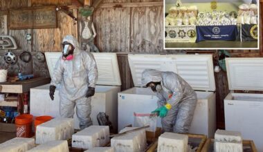 Record California meth bust made after illegal dumping tip off