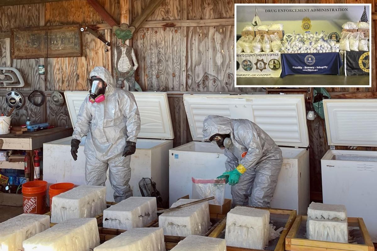 Record California meth bust made after illegal dumping tip off