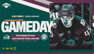 PREVIEW: Ducks Look to Make It Six Against Avs