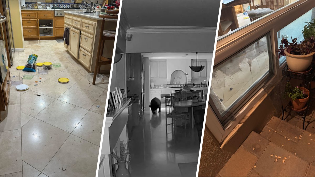 Bear enters Claremont home and raids kitchen snacks – NBC Los Angeles