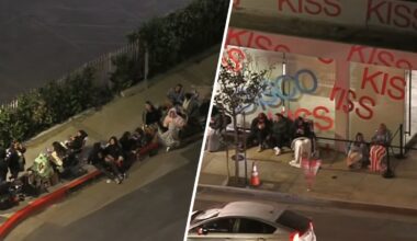 Fans camp overnight for Harry Styles’ pop-up store in LA – NBC Los Angeles