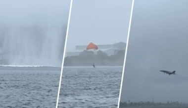 Human error led to jet crash into San Diego Bay, per report – NBC 7 San Diego