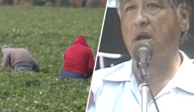 Farmworkers react to accusations against César Chávez – NBC Los Angeles