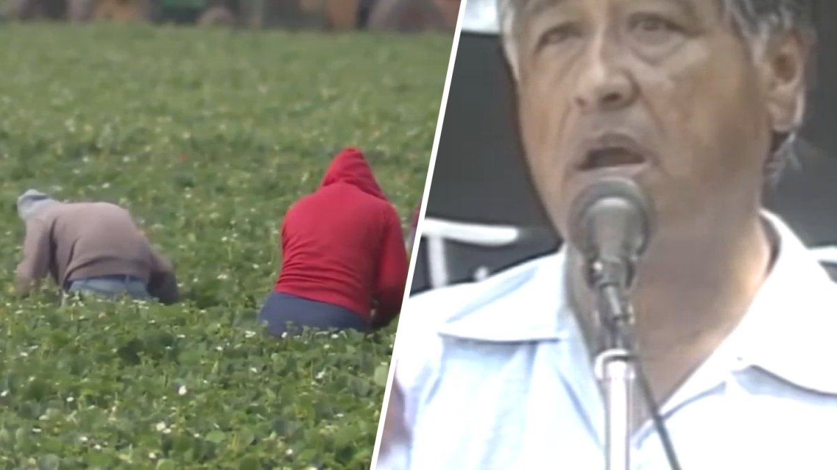 Farmworkers react to accusations against César Chávez – NBC Los Angeles